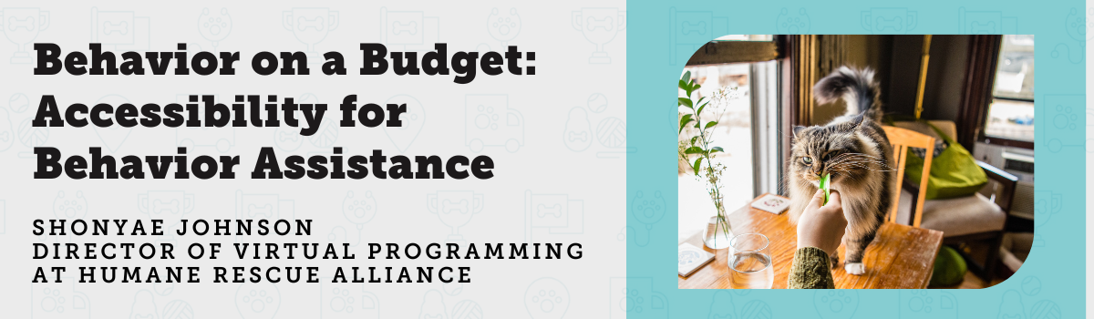 Behavior on a Budget: Accessibility for Behavior Assistance